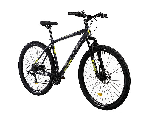 Гірський велосипед DHS 2905 29' - model 2021/29 - синій