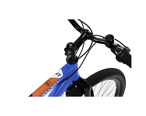 Гірський велосипед DHS 2905 29' - model 2021/29 - синій