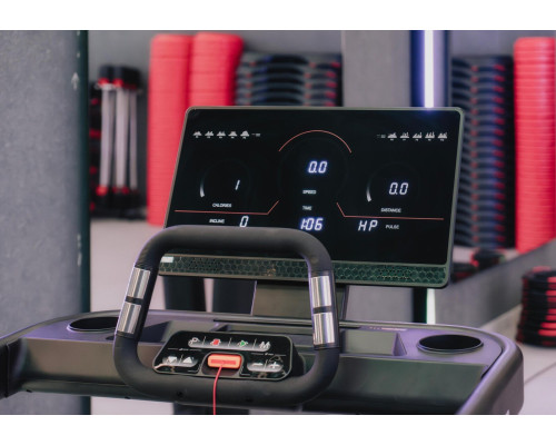 Бігова доріжка електрична BH Fitness RX7 LED