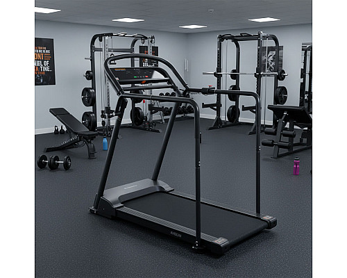 Бігова доріжка електрична з поручнями inSPORTline Avolin