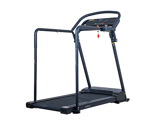 Бігова доріжка електрична з поручнями inSPORTline Avolin