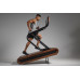 Бігова доріжка NOHRD Citius Shadow Treadmill