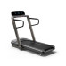 Бігова доріжка електрична King Smith HORIZON FITNESS Omega Z-02