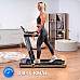Бігова доріжка електрична THUNDER RACE-SILVER