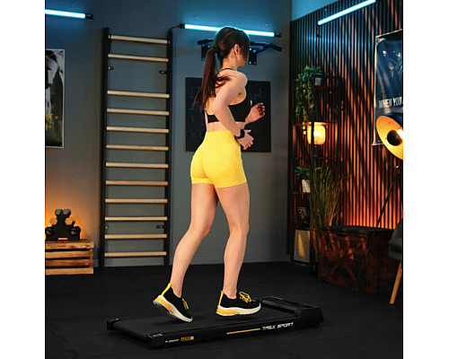 Бігова доріжка електрична Trex Sport TX-300WP AERO