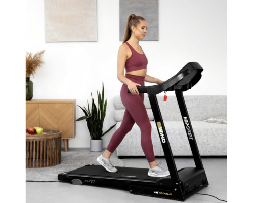 Бігова доріжка електрична Hop-Sport HS-1000LB Wind сірий