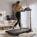 Бігова доріжка електрична Hop-Sport HS-1900LB Standy