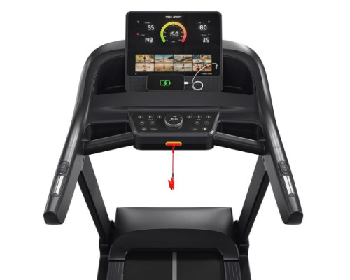 Бігова доріжка електрична Trex Sport TX-1200TM ROOK