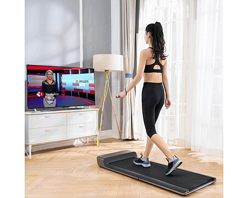 Бігова доріжка Flow Fitness DTM100i Бігова доріжка Flow Fitness DTM100i