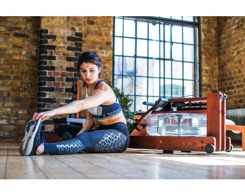 Веслувальний тренажер WaterRower Classic Performance Rowing Machine SR Walnut