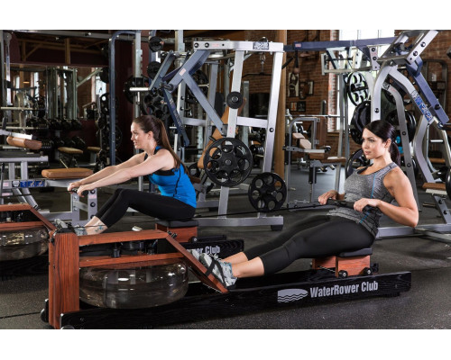 Веслувальний тренажер WaterRower Club Performance Rowing Machine SR Ash