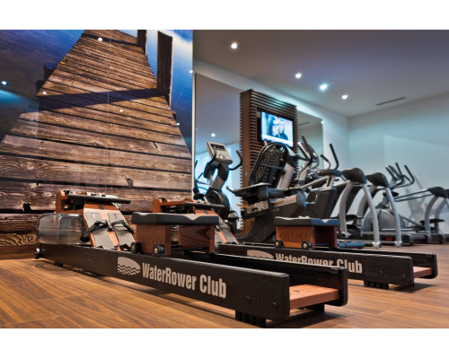 Веслувальний тренажер WaterRower Club Performance Rowing Machine SR Ash