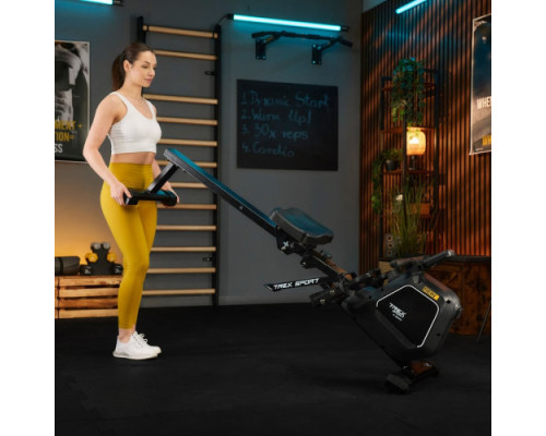 Веслувальний тренажер Trex Sport TX-580RM Rein чорний