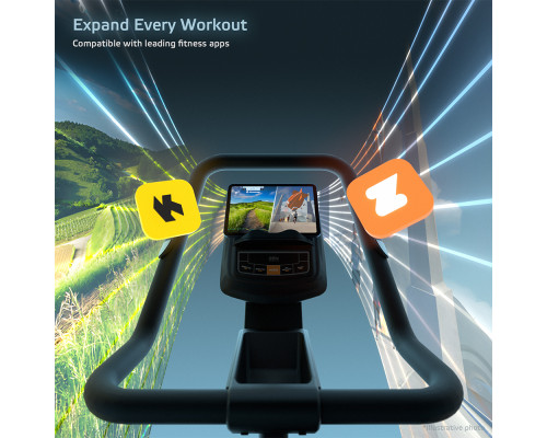 Степпер inSPORTline ZenPeak 50