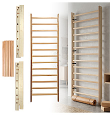 Шведська стінка inSPORTline Dualmar 220 x 65 см