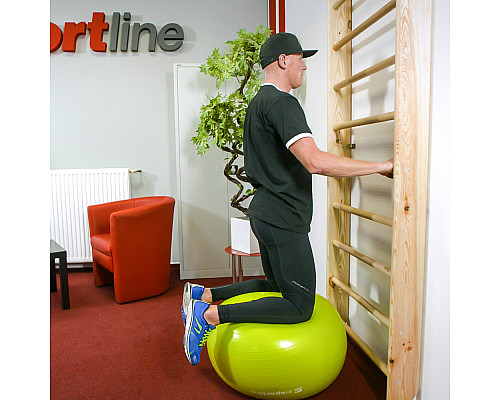Шведська стінка inSPORTline Steadyline 250 x 90 см Шведська стінка inSPORTline Steadyline 250 x 90 см
