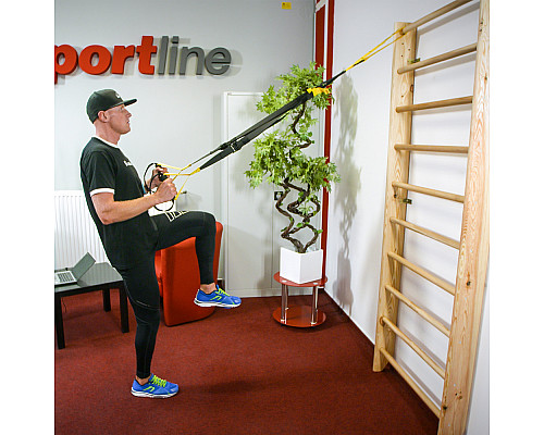Шведська стінка inSPORTline Steadyline 250 x 90 см Шведська стінка inSPORTline Steadyline 250 x 90 см