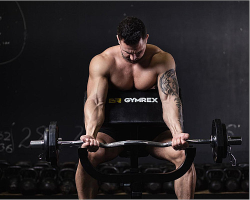 Gymrex Bench Тренажерна лава для вправ на біцепс до 120 кг Gymrex Bench Тренажерна лава для вправ на біцепс до 120 кг