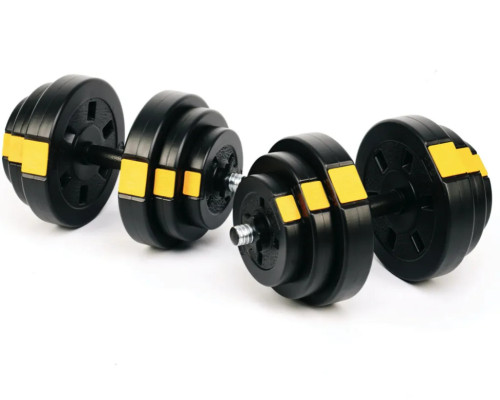 Лава Besport WB-002 з гантелями PowerPro 2 х 18,5 кг