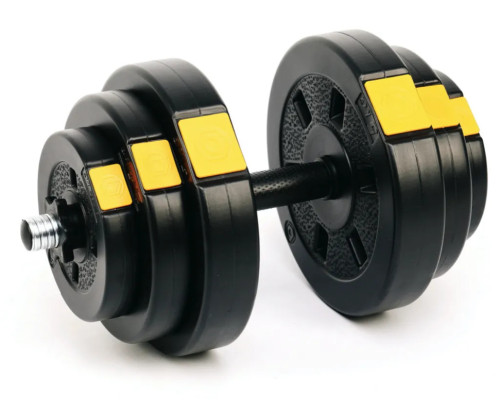 Лава Besport WB-002 з гантелями PowerPro 2 х 18,5 кг
