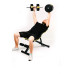Лава Besport WB-002 з гантелями PowerPro 2 х 21 кг