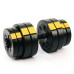 Лава Besport WB-002 з гантелями PowerPro 2 х 31 кг