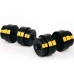 Лава Besport WB-002 з гантелями PowerPro 2 х 31 кг