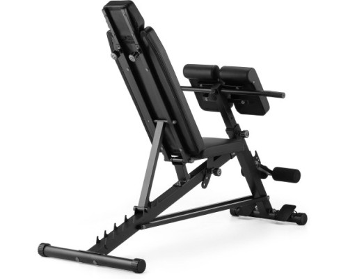 Лава тренувальна Gymtek XL800 з еспандерами та партою Скотта