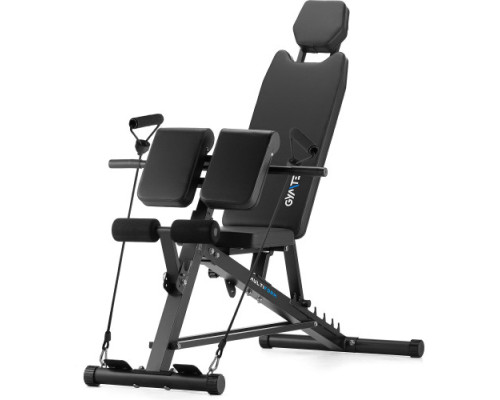 Лава тренувальна Gymtek XL800 з еспандерами та партою Скотта