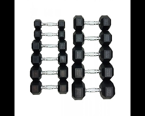 Гантель шестигранна HouseFit DD 6442-3, 3 кг