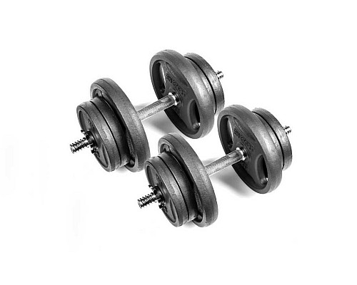 Гантелі розбірні RN-Sport RN_QTR21х2 2 х 21 кг