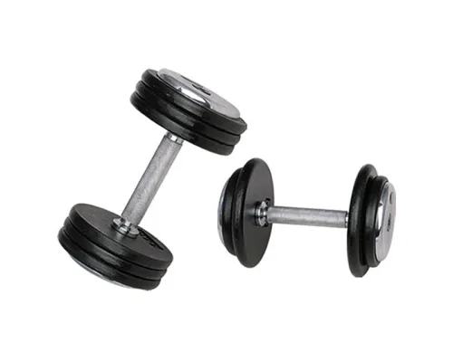 Гантель inSPORTline ProfiST 45 кг
