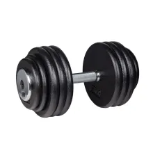 Гантель inSPORTline ProfiST 45 кг