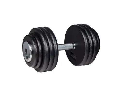 Гантель inSPORTline ProfiST 45 кг