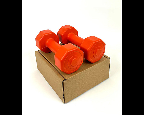 Гантелі композитні NEO-SPORT 2 х 1 кг