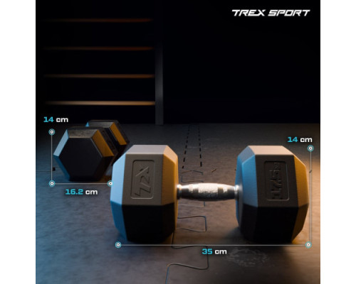 Гантель шестигранна Trex Sport TX-175RD 17,5 кг