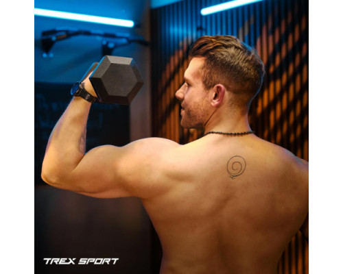 Гантель шестигранна Trex Sport TX-175RD 17,5 кг