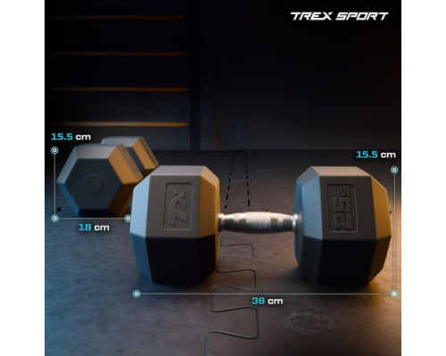 Гантель шестигранна Trex Sport TX-250RD 25 кг