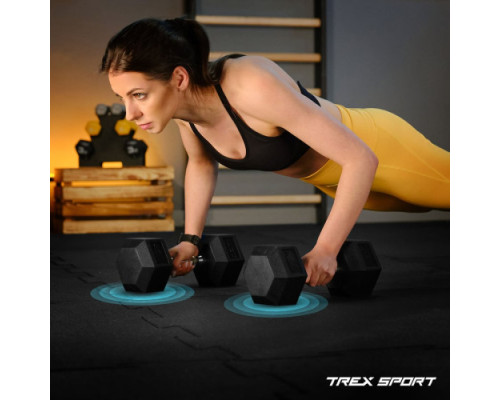 Гантель шестигранна Trex Sport TX-250RD 25 кг