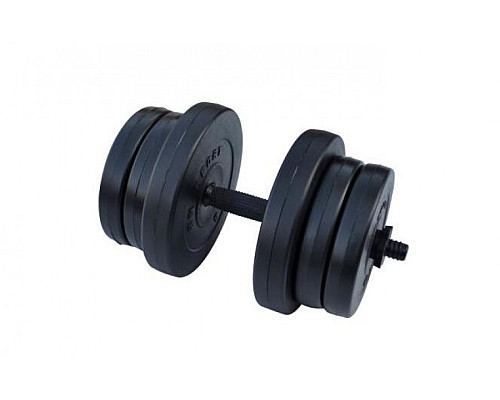 Гантель розбірна композитна RN-Sport 20 кг