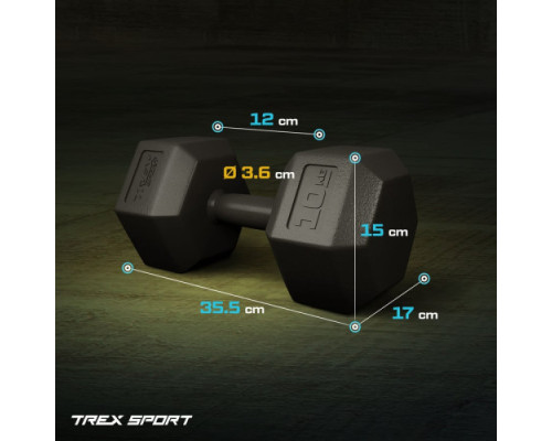 Гантелі шестигранні TREX Sport TX-008CD 2 x 10 кг