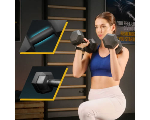 Гантелі шестигранні TREX Sport TX-008CD 2 x 10 кг