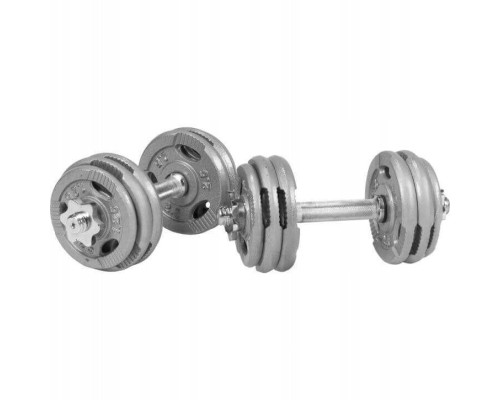 Гантелі чавунні розбірні Gorilla Sports 2 x 15 кг