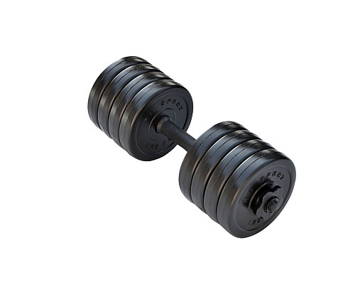 Гантель розбірна RN-Sport Long 10 кг