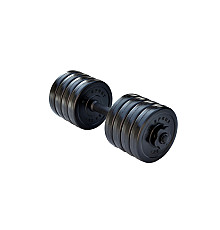 Гантель розбірна RN-Sport Long 10 кг