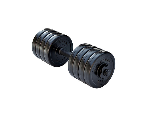 Гантель розбірна RN-Sport Long 10 кг