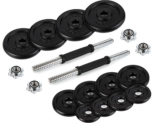 Гантелі розбірні у кейсі ZIPRO Cast Iron, 2 x 10 кг