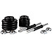 Гантелі розбірні у кейсі ZIPRO Cast Iron, 2 x 10 кг