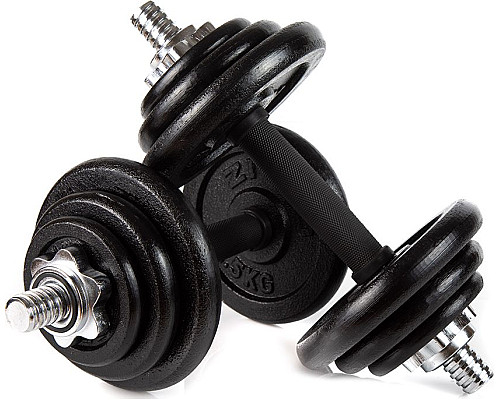 Гантелі розбірні у кейсі ZIPRO Cast Iron, 2 x 10 кг