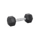 Гантель шестигранна inSPORTline Hexsteel 6 кг